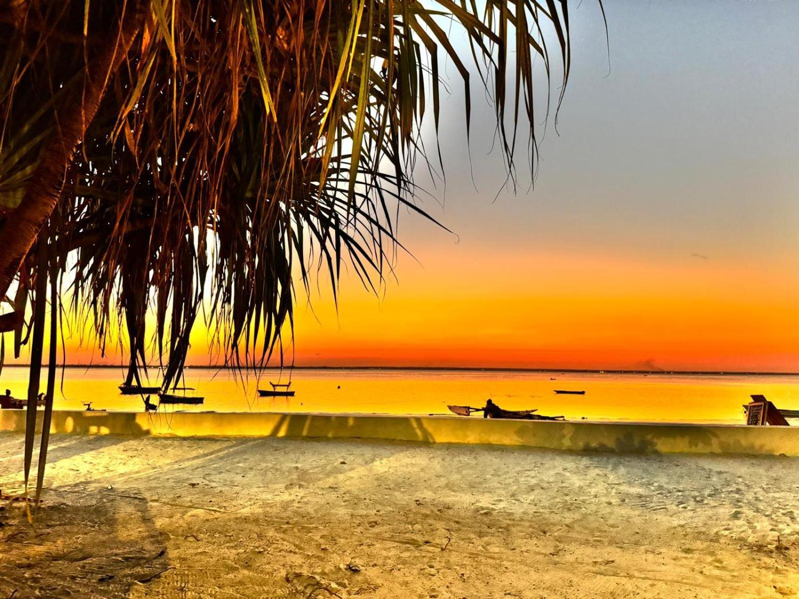 Bahati Sunset Bungalows Michamvi エクステリア 写真