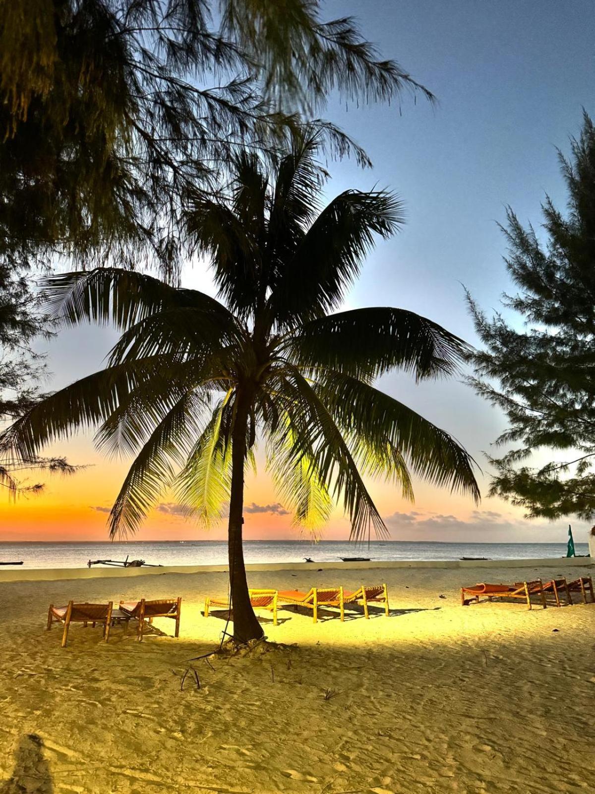 Bahati Sunset Bungalows Michamvi エクステリア 写真