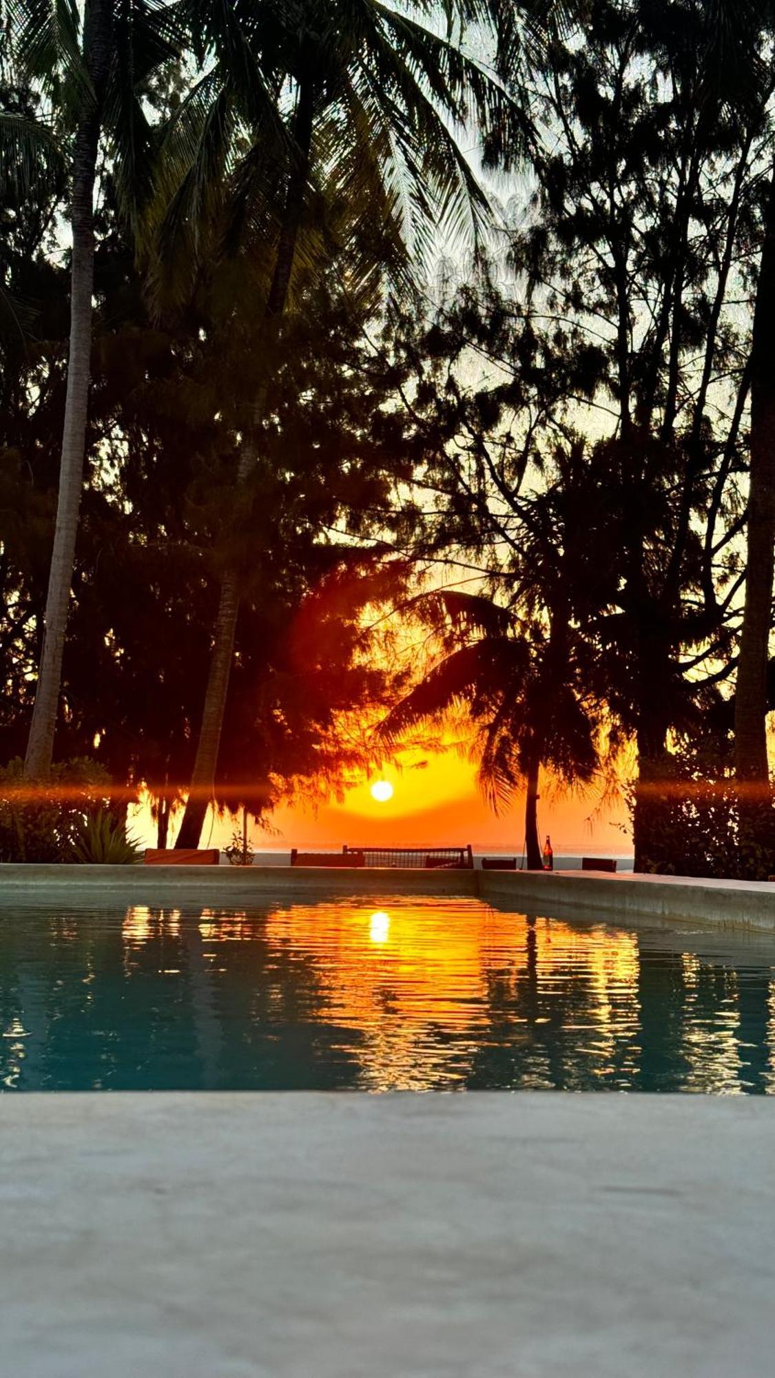 Bahati Sunset Bungalows Michamvi エクステリア 写真
