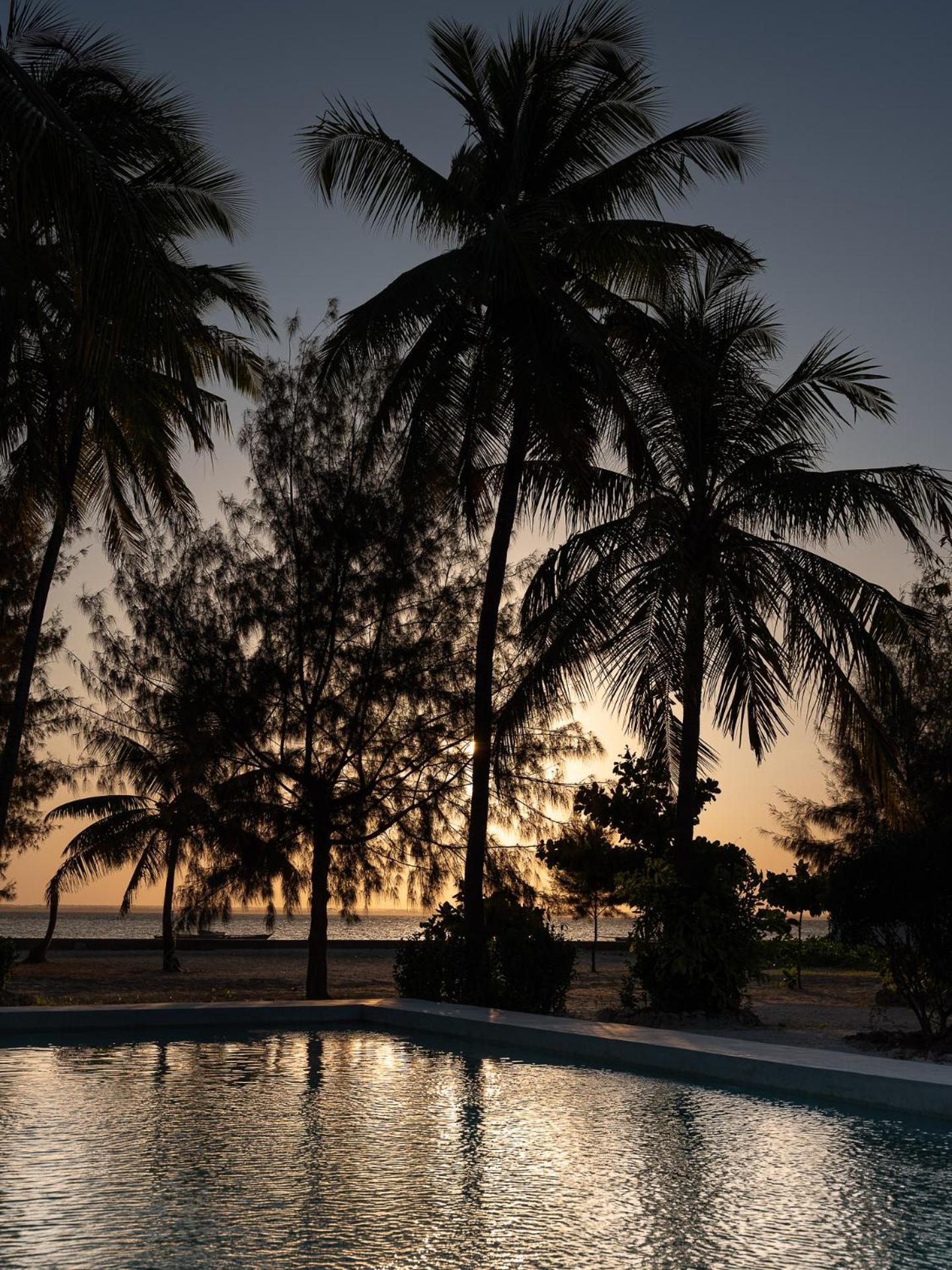 Bahati Sunset Bungalows Michamvi エクステリア 写真